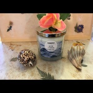 Blue Citron 14oz Candle Jar. Tropical Scent